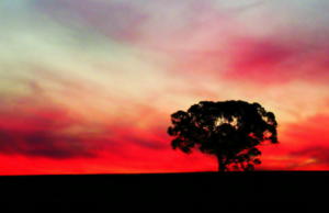 Endrra që pa profeti Muhamed alejhi selam