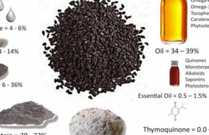 Fara e zezë (Habbetus-sevda) | Mjeksia Islame