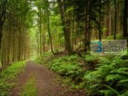 A lejohet shprehja: E njohëm Zotim me mendjen tonë?