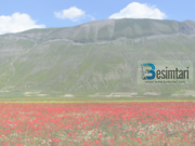 Askujt nuk i lejohet që të thotë se kush do të hyjë në Xhenet apo në Xhehenem!