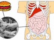 Diagnoza e helmimeve (Si duhet vepruar ne raste helmimesh!)