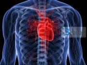 Ja çfarë i ndodh trupit në 30 ditët e Ramazanit