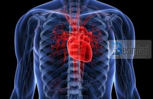 Ja çfarë i ndodh trupit në 30 ditët e Ramazanit