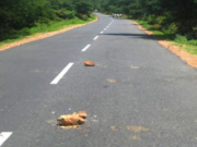 I Dërguari alejhi selam i ka premtuar Xhenetin atij që bën këtë vepër