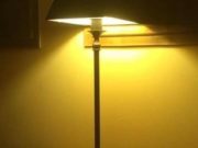 Plaka muslimane dhe ateisti