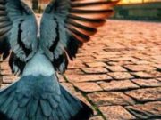 Si të fitoni për një sekond aq shume sevape, sa është edhe numri i besimtarëve në mbarë botën!