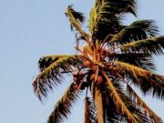 Lutja kur të dalim nga xhamia