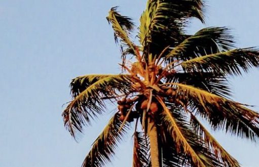 Lutja kur të dalim nga xhamia