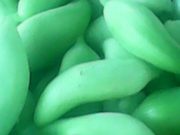 Inka kastravec (Cyclanthera pedata) | Mjeksia Islame