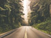 Jeta jonë ndodhet në këtë tregim