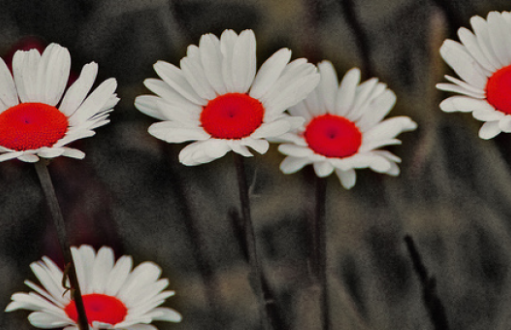 3 vetëve Allahu nuk ua refuzon përgjigjen