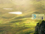 “Lësho ujë në kopshtin e filanit.”