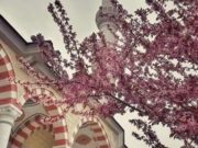 Mëshira e Allahut është e pakufishme…