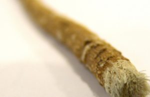 10 Efektet e misvakut