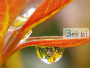 Njeriu më i mirë tek Allahu