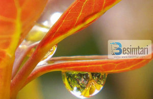 Njeriu më i mirë tek Allahu