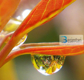 Njeriu më i mirë tek Allahu