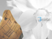 PSE TË VJEN TURP TË SILLESH ME GRUAN ASHTU?!