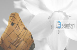 PSE TË VJEN TURP TË SILLESH ME GRUAN ASHTU?!