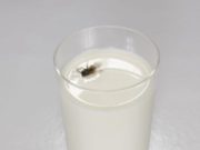 Shkenca mahnitet nga hadithi që e përqeshnin dikur!