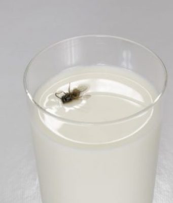 Shkenca mahnitet nga hadithi që e përqeshnin dikur!