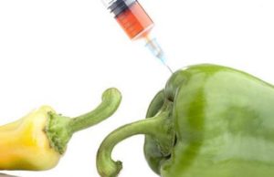 O njerëz shikoni si po na vrasin çdo ditë!