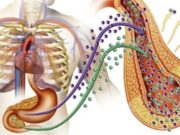 Çfarë është ulcera?