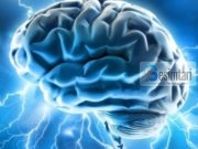 Për çdo sëmundje ka një ilaç; nëse ia qëllohet në gjetjen e ilaçit, ajo shërohet, me lejen e Allahut