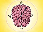 TRURI DHE ORA | Mjeksia Islame