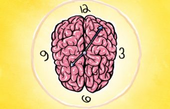 TRURI DHE ORA | Mjeksia Islame