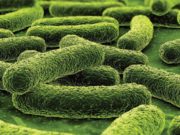 Gjithçka që duhet të dini rreth tuberkulozit