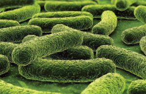 Gjithçka që duhet të dini rreth tuberkulozit