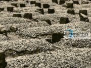 A kthehet shpirti i të vdekurve në shtëpitë tona?