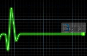 PSE FRIKOHESH NGA VDEKJA