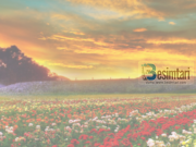 Blije këtë botë dhe botën tjetër me këtë vepër