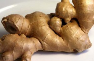 PËRZIERJA E MJALTIT ME XHENXHEFIL