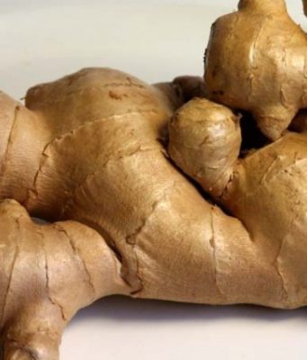 PËRZIERJA E MJALTIT ME XHENXHEFIL