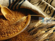 Dhënia e zekatul fitrit për fëmijën në barkun e nënës