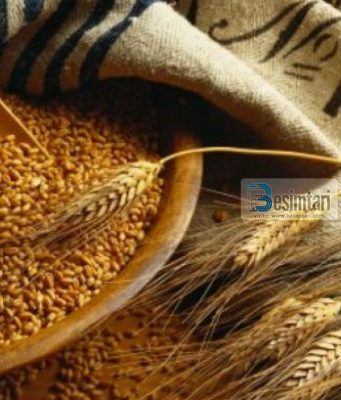 Dhënia e zekatul fitrit për fëmijën në barkun e nënës