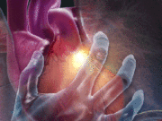 Kuriozitete rreth sistemit kardiovaskular