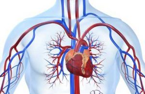 Laje këtë zemër, në mënyrë të përditshme