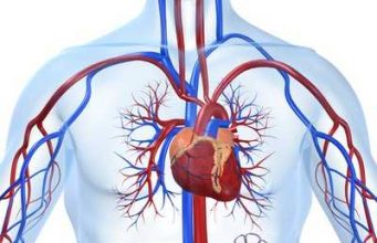 Laje këtë zemër, në mënyrë të përditshme