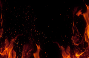 Prandaj dhe zjarri nuk do djegë kafshët, insektet, shpezët, foshnjet e as të çmendurit