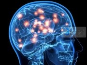 Britani: Studimi konfirmon: Filmat pornografikë ndikojnë tek truri njëjtë si droga dhe alkooli