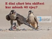 E dini çfarë bën skifteri kur mbush 40 vjeç?