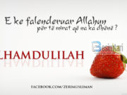 Çfarë di për… elhamdulilah?