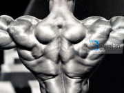 A lejohet bodybuilding dhe nëse jo, çfarë të bëj me pajisjet dhe cilat janë sportet e lejuara për muslimanin?