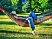 Siesta dhe mrekullia profetike