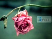 KUJDES! Mos i bëj këto pesë gjëra