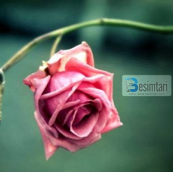 KUJDES! Mos i bëj këto pesë gjëra